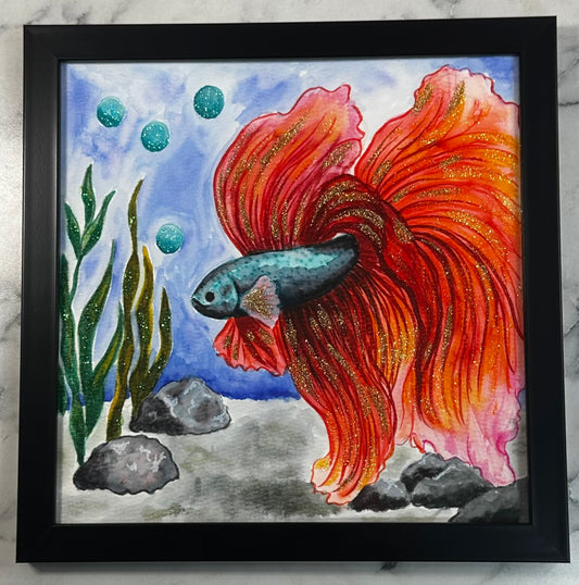 Beta Fish - Orange Glow ☀️