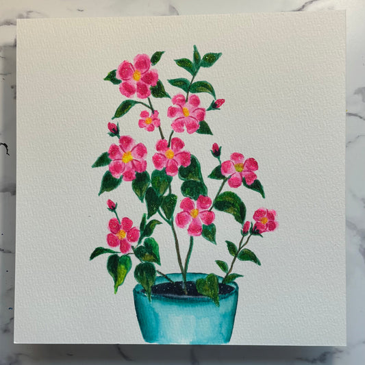 Cute Pot of Flowers